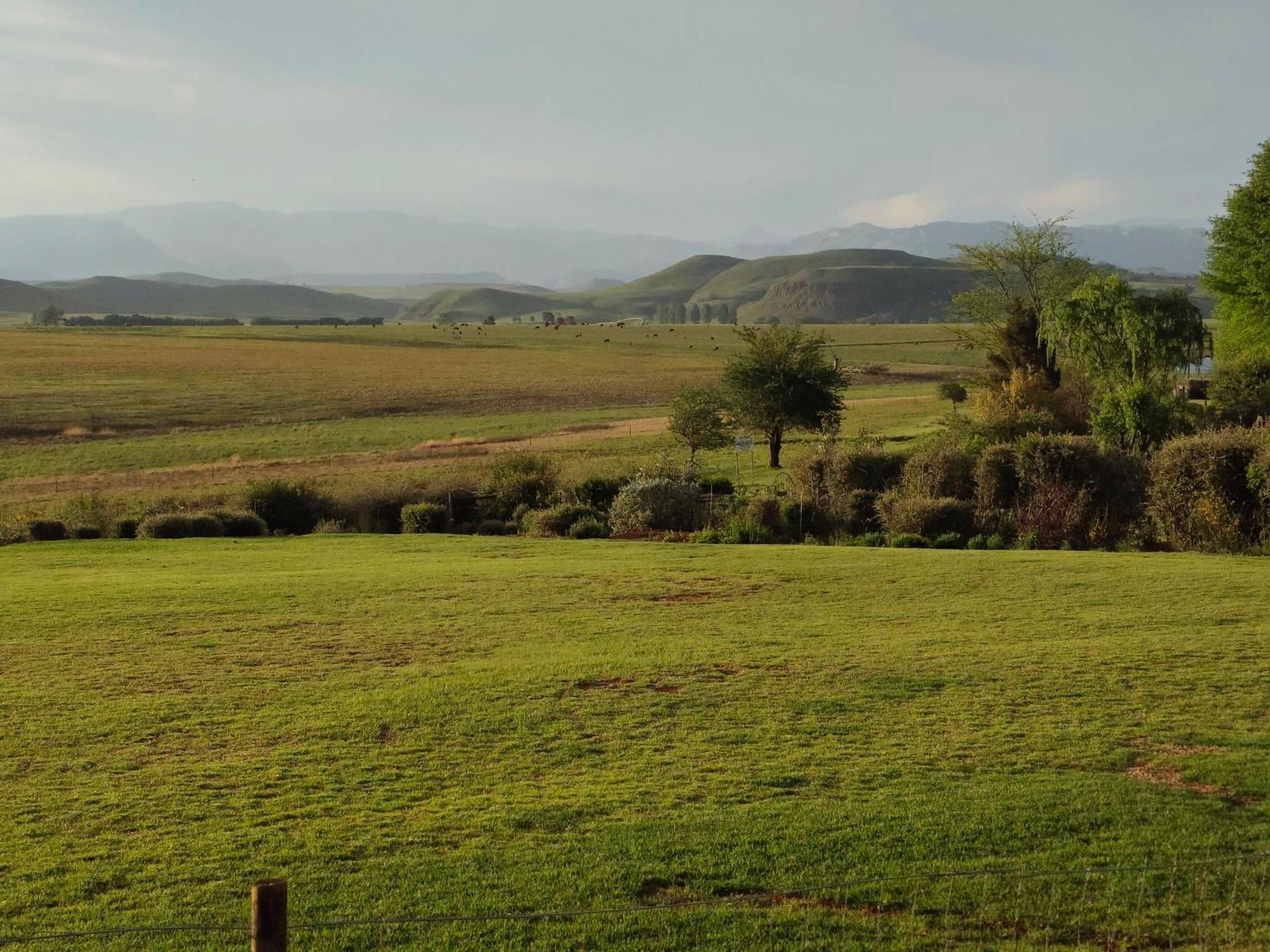 Sani Pass View Cottage Himeville Extérieur photo